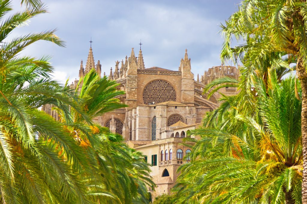 il verde a palma de mallorca