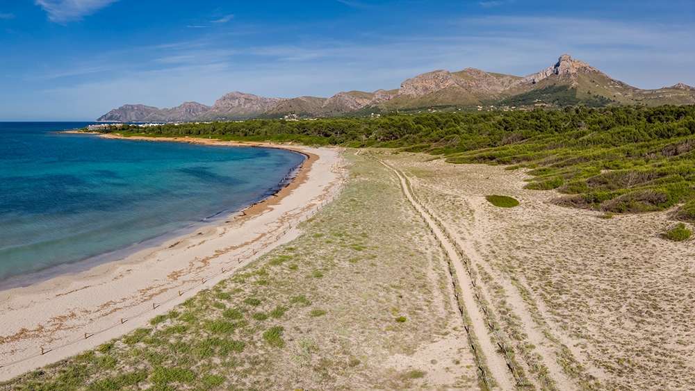 Costa di Arenal de sa Canova