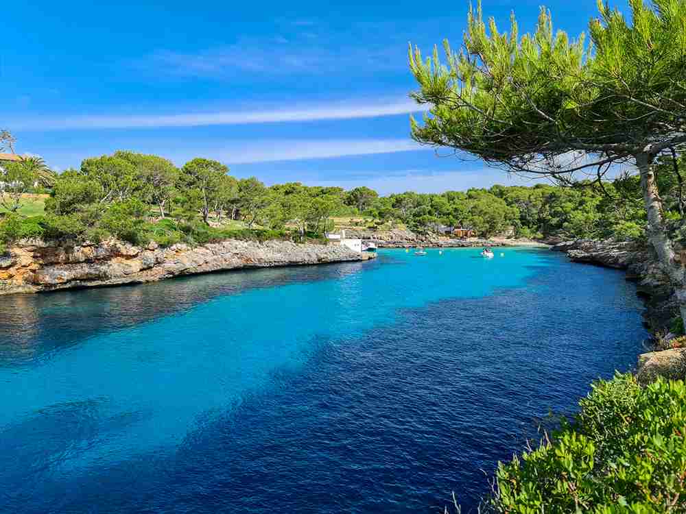 Acqua trasparente di Cala Mitjana